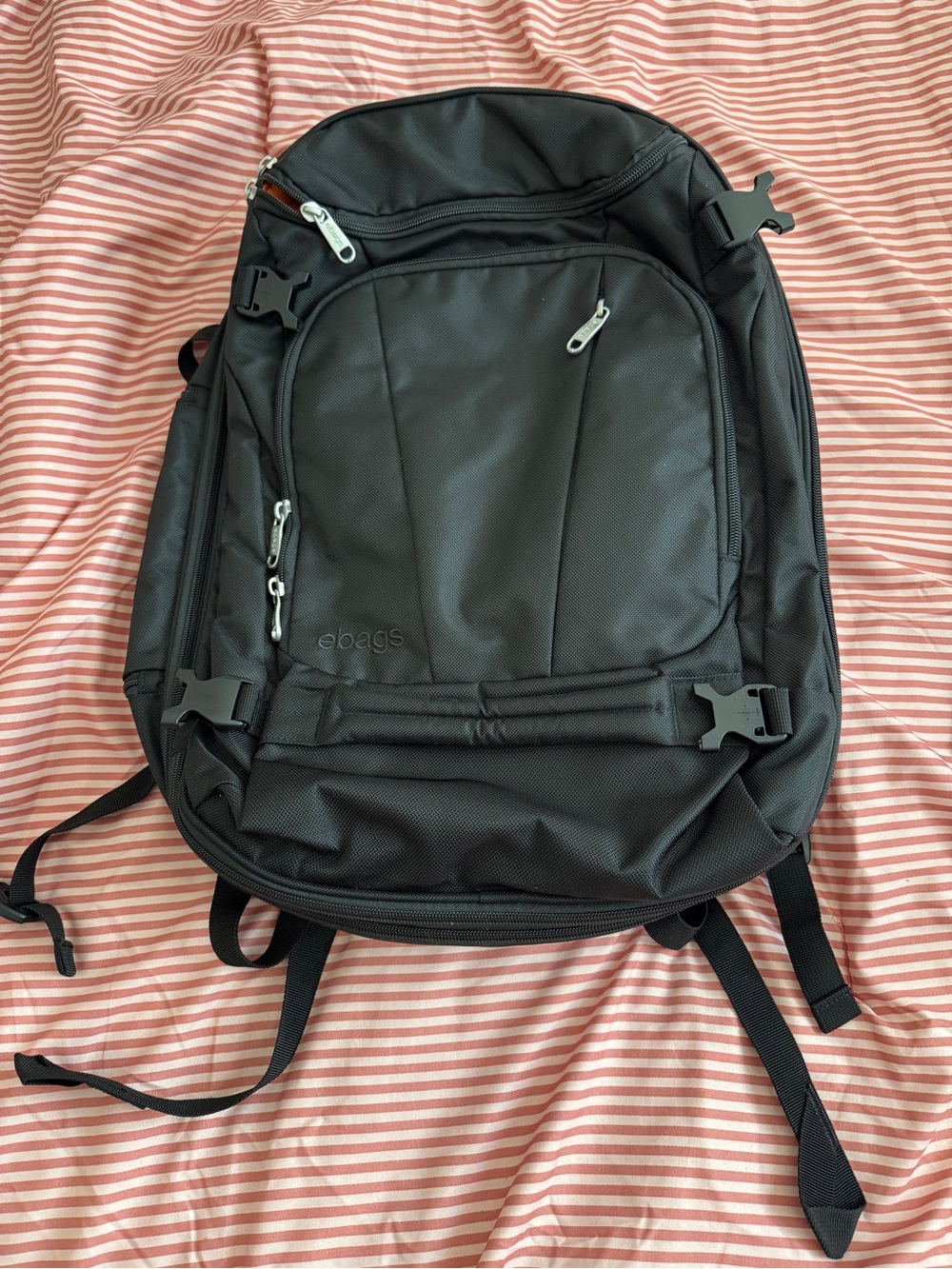 eBags Mother Lode Jr Travel Backpack